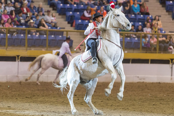 Westernaires 2015 Annual Show